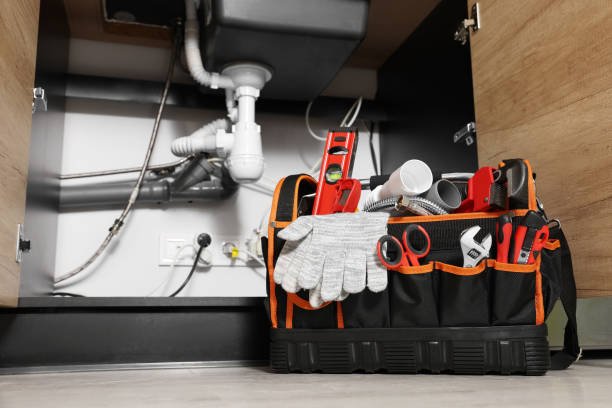 Best Local Plumber Services  in Tanglewilde, WA